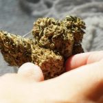 28467441_web1_M1-KIR20220315-Buy-weed-online-teaser-image1